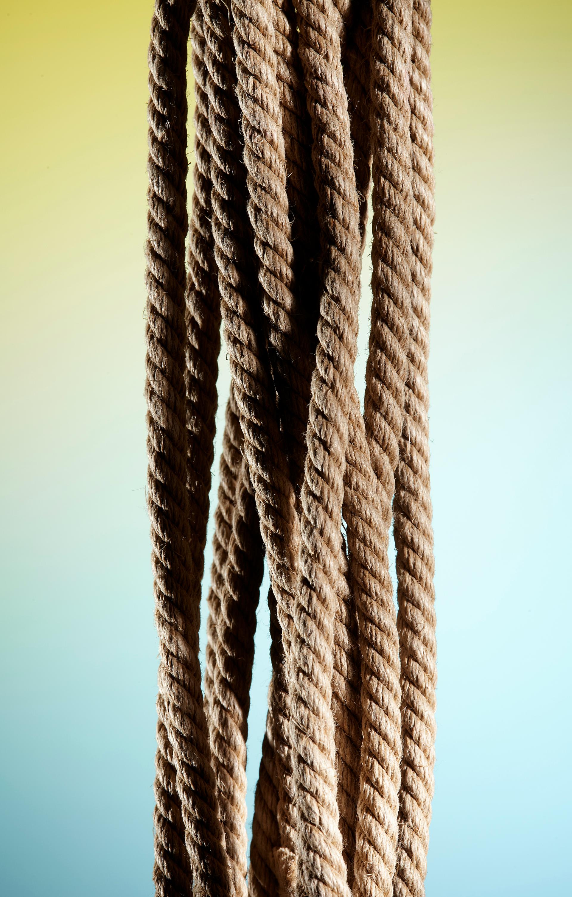 copyright Oriani & Origone - KOLT