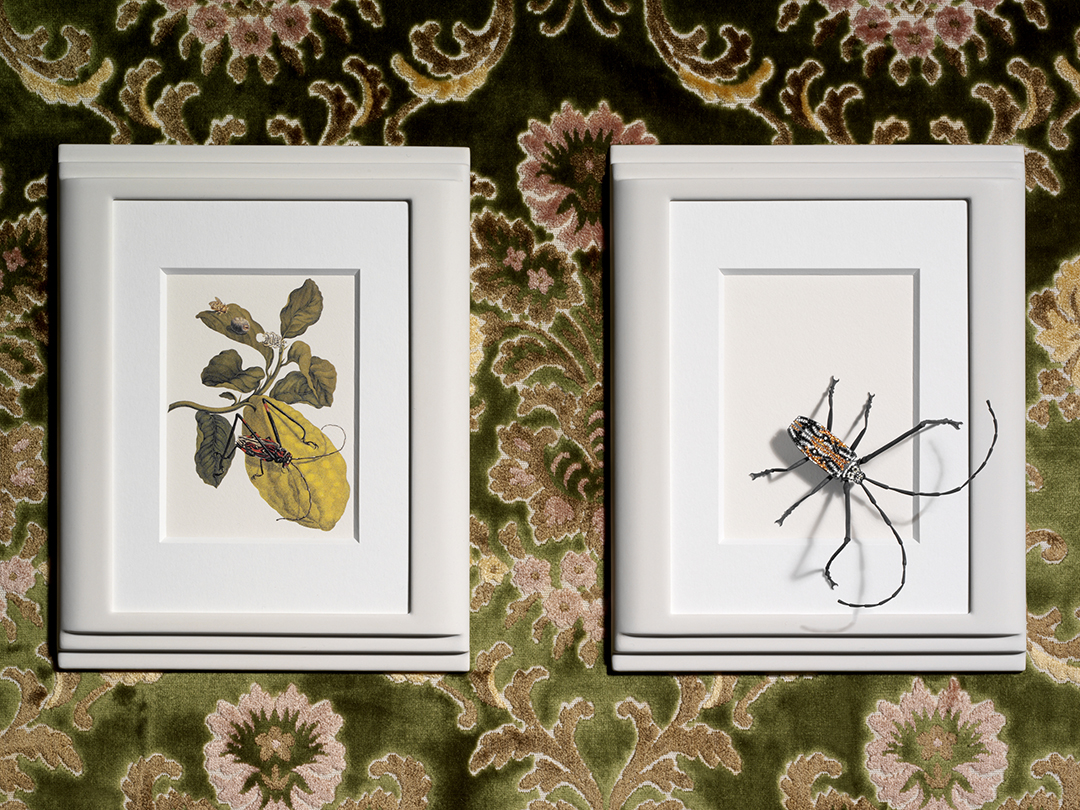 copyright Oriani & Origone - Swarovski – Book of Dreams