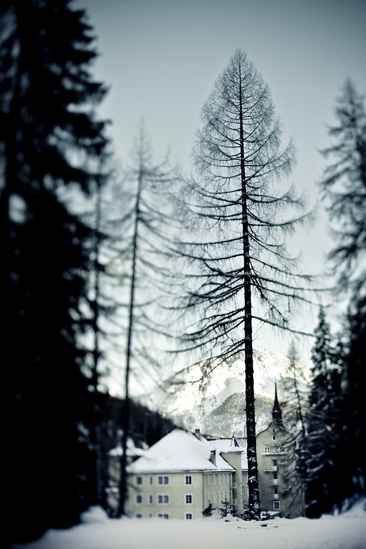 copyright Christian Grund - Schweiz