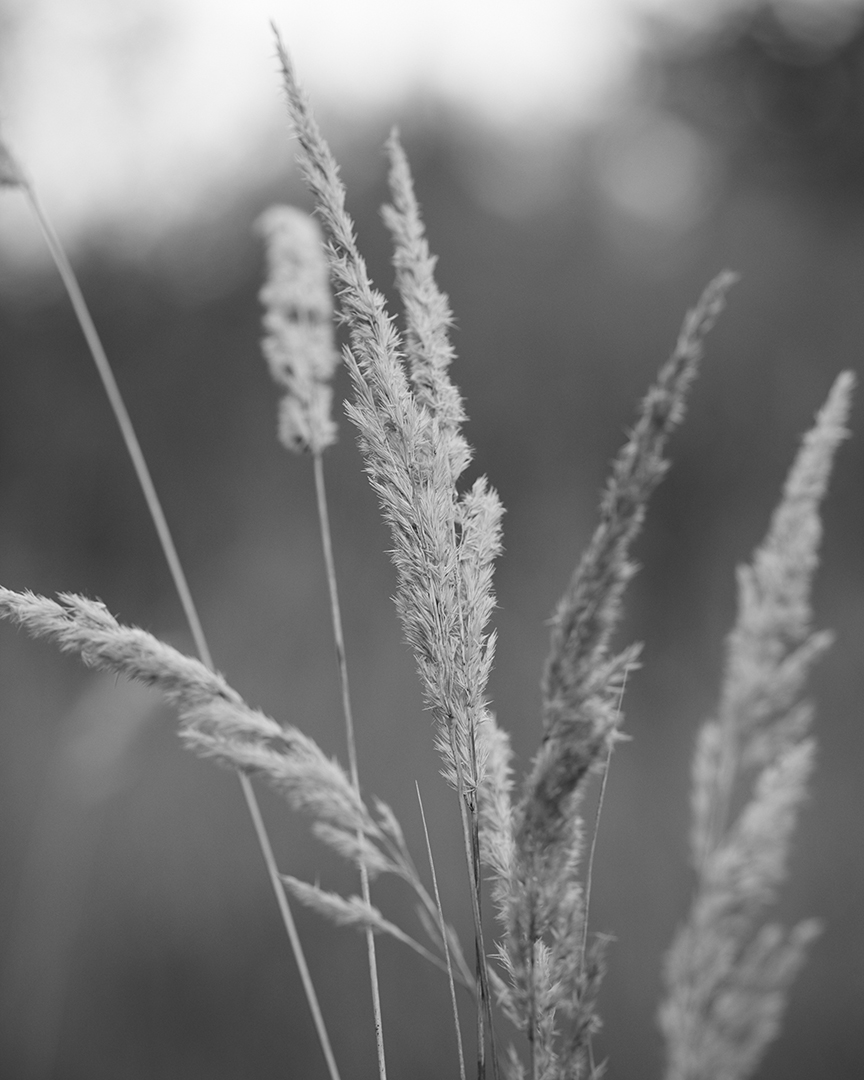 copyright Nadine Ottawa - Atlas Craft