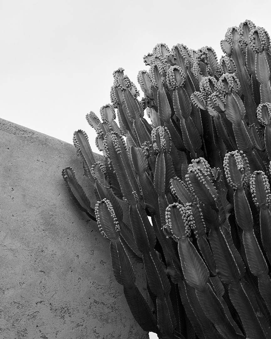 copyright Nadine Ottawa - Maison Gassmann Marrakesh