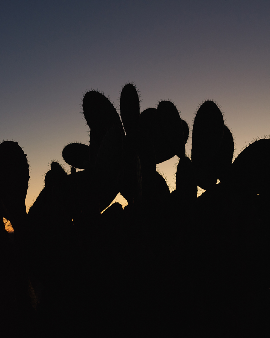 copyright Nadine Ottawa - Maison Gassmann Marrakesh