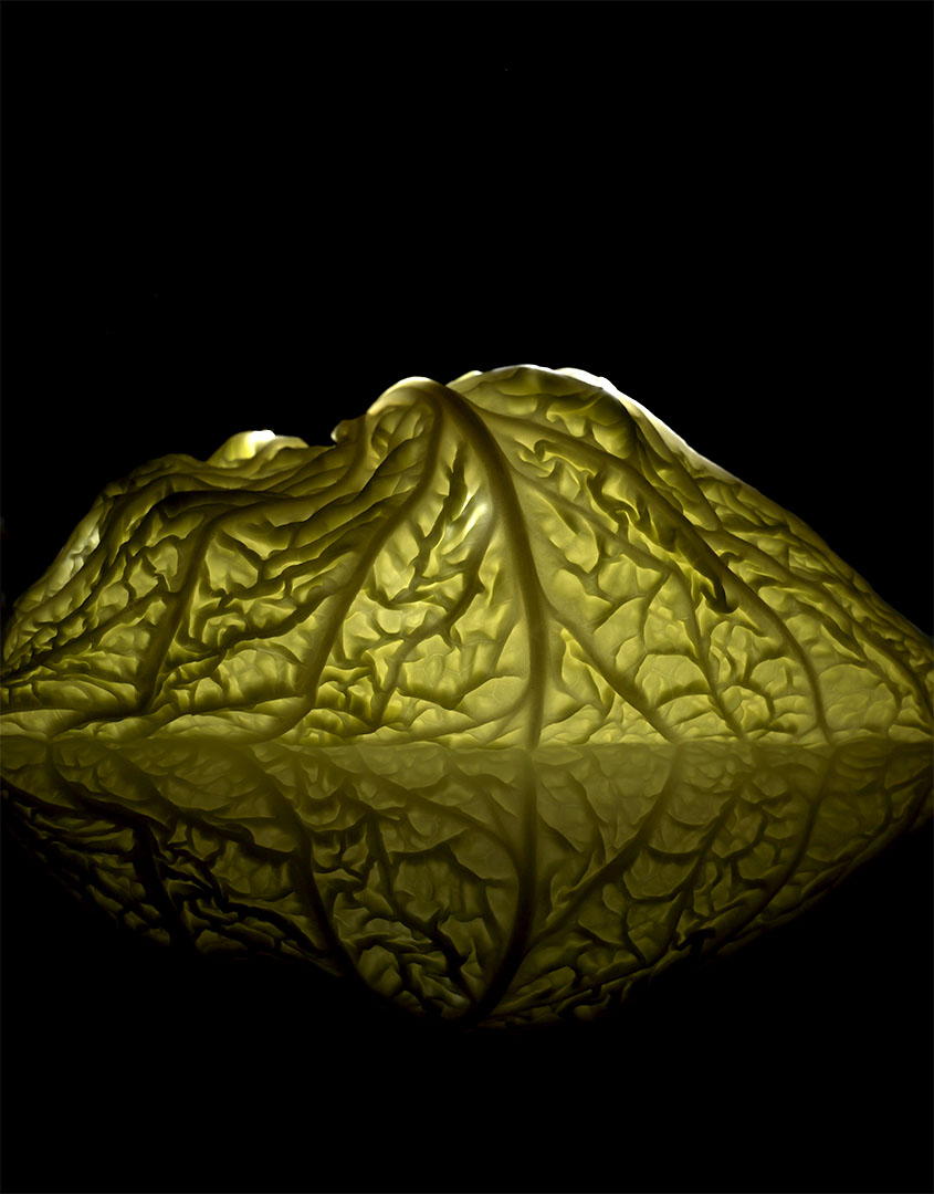 copyright Oriani & Origone - Food – Personal