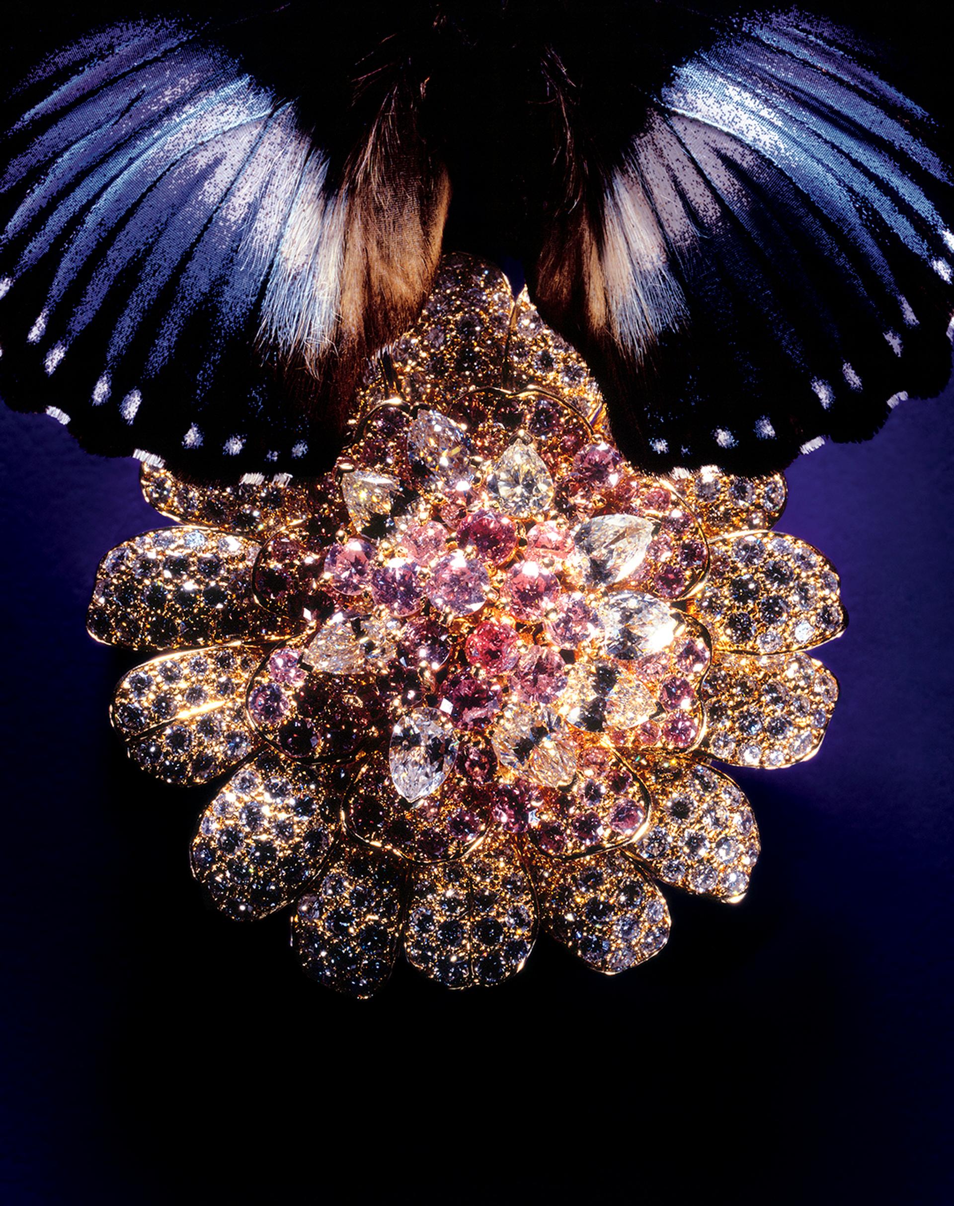 copyright Oriani & Origone - Jewels – Editorial
