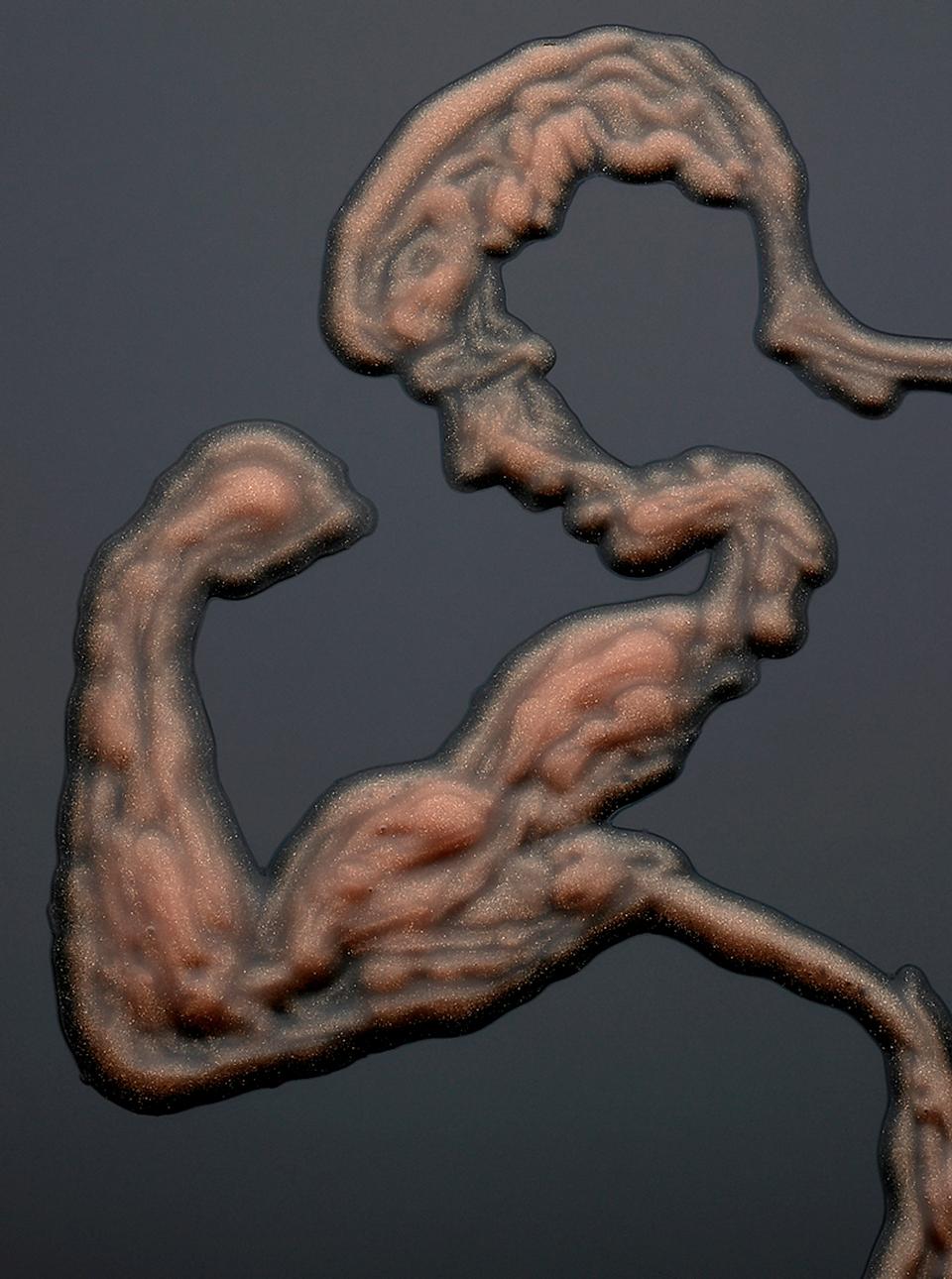 Copyright Bela Borsodi