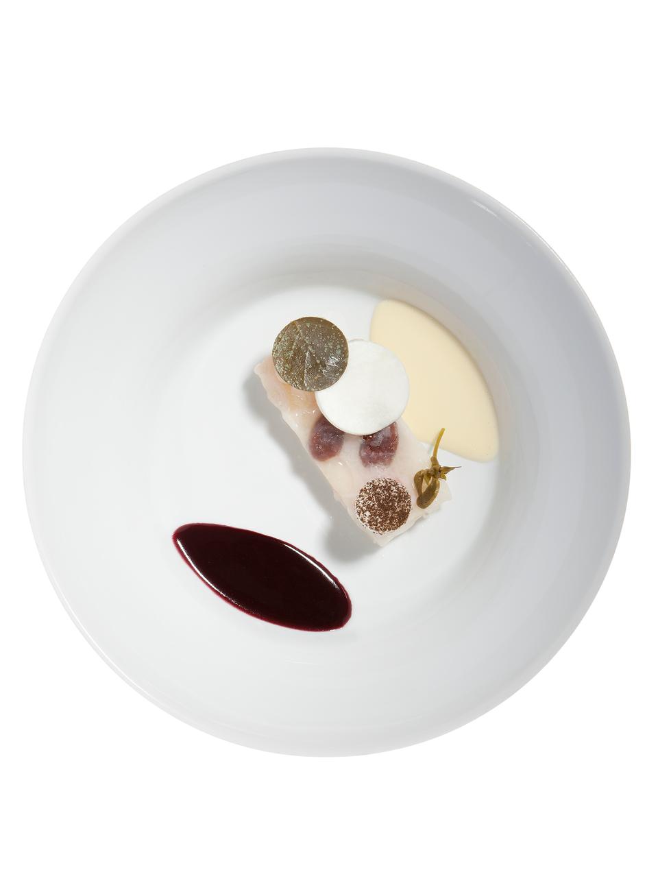 Copyright Oriani & Origone