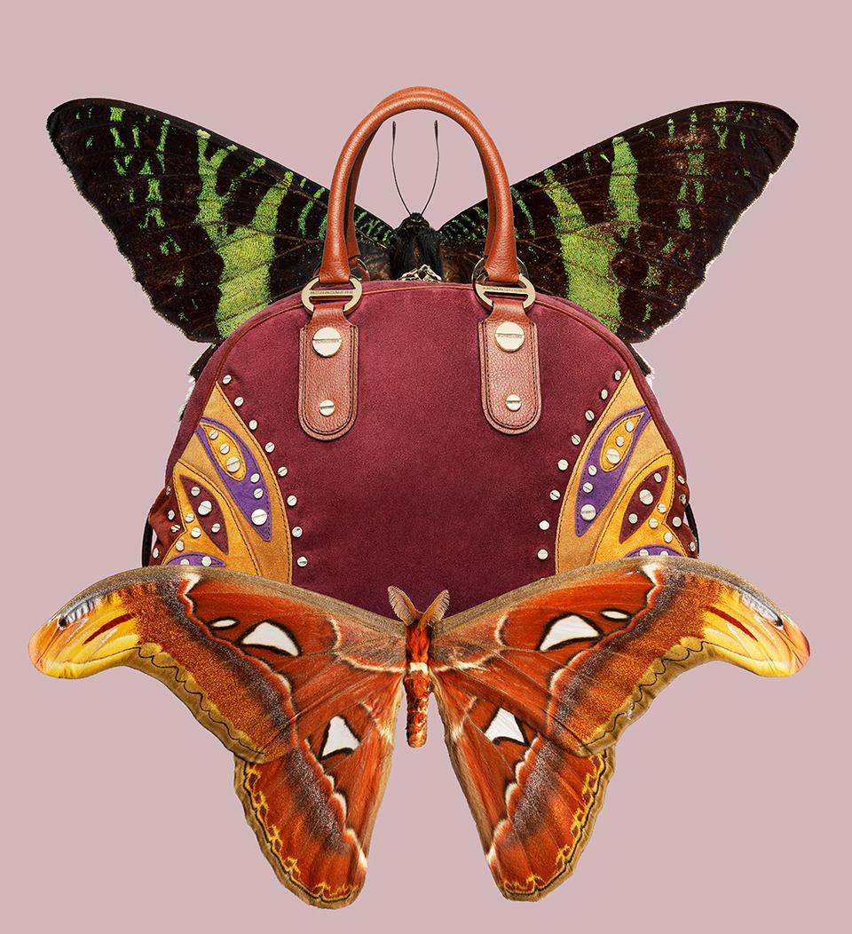 Copyright Oriani & Origone