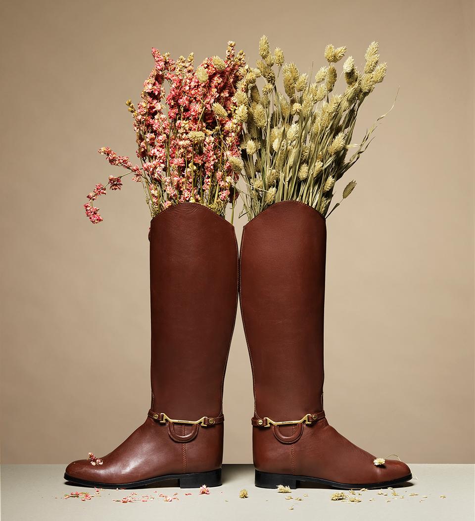 Copyright Oriani & Origone
