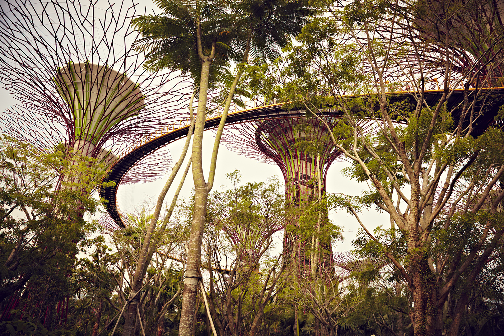 copyright Christian Grund - Singapore