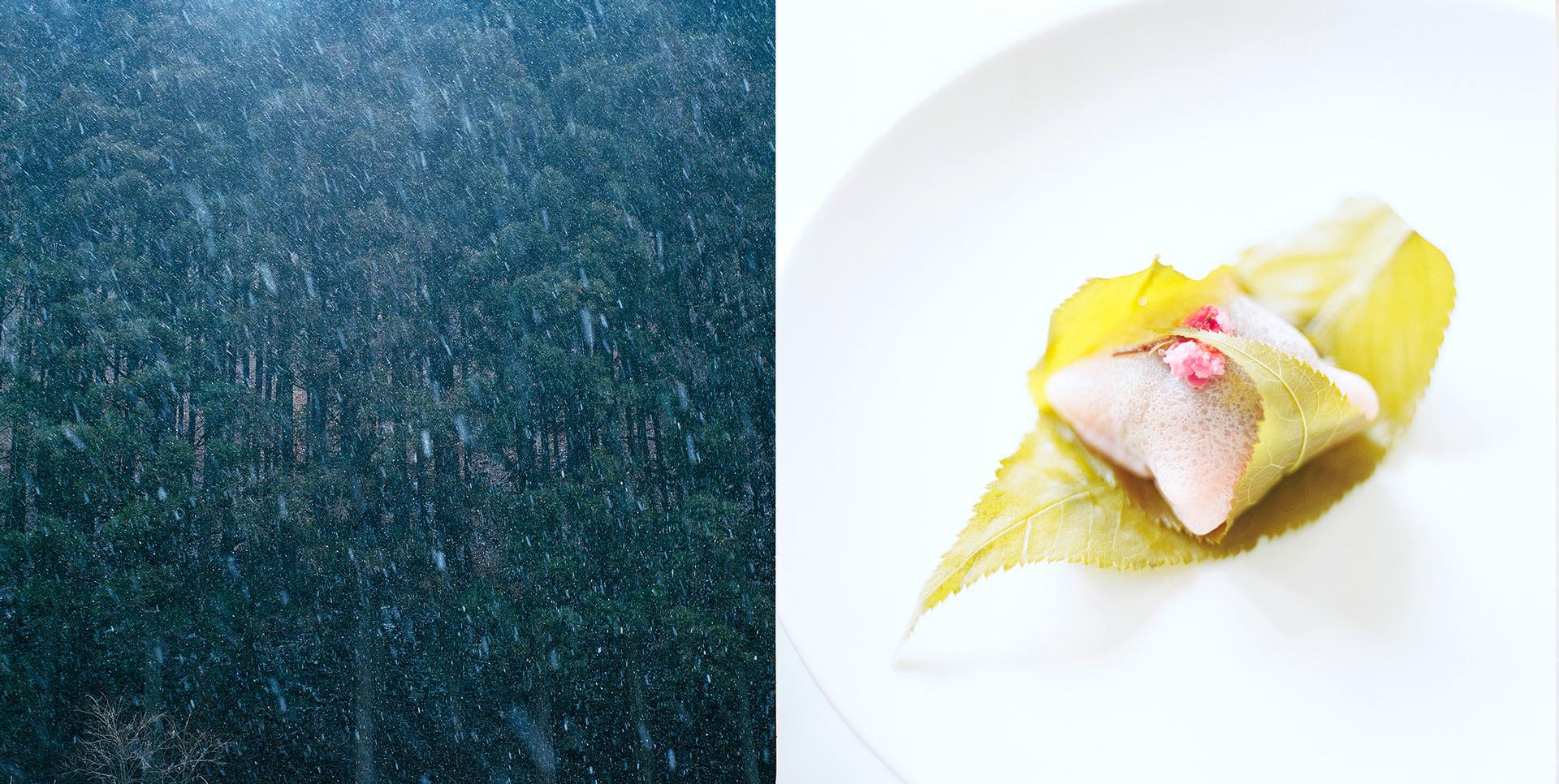 copyright Sylvan Müller - Japan Reisekochbuch