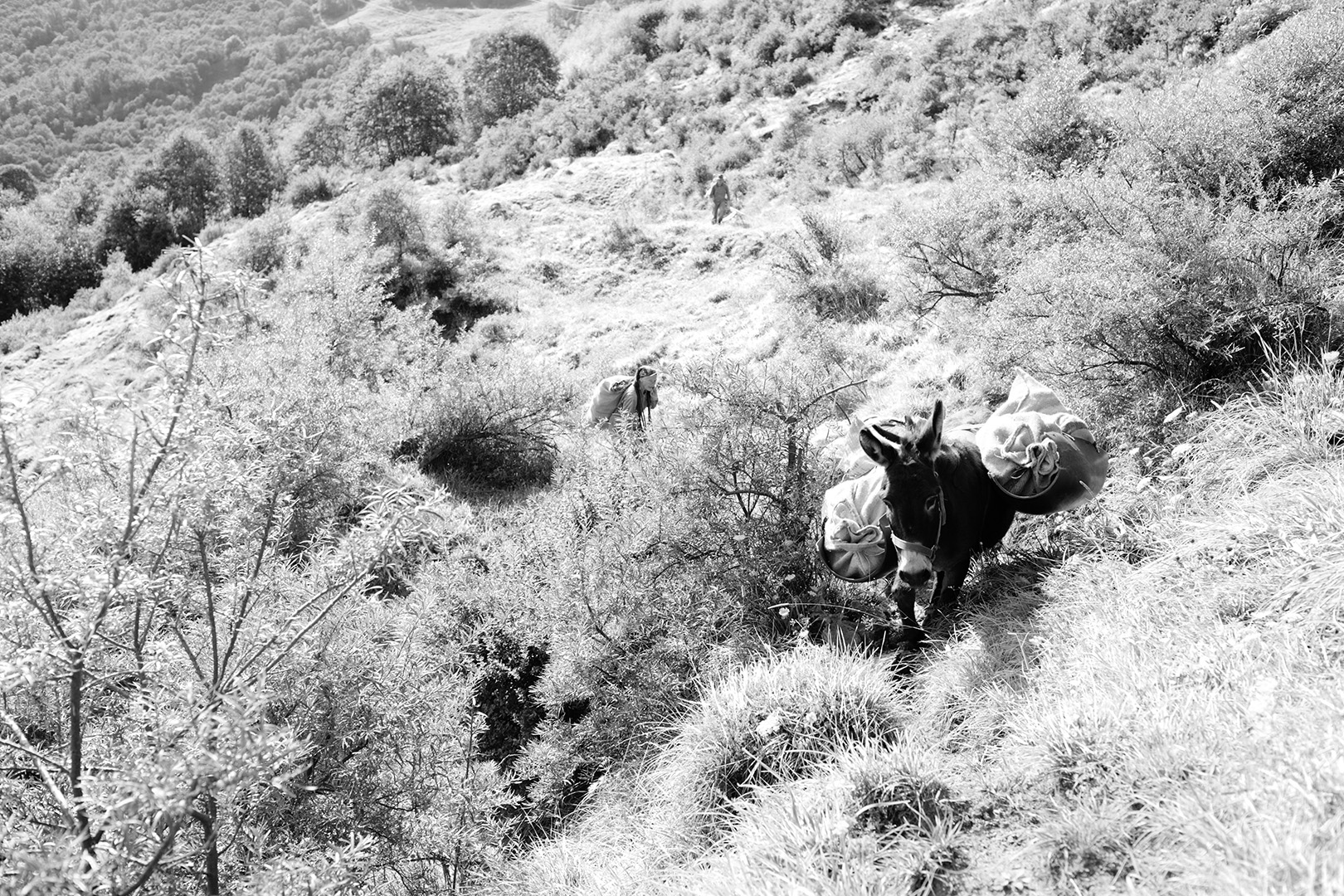 copyright Sylvan Müller - Reportage – KEA