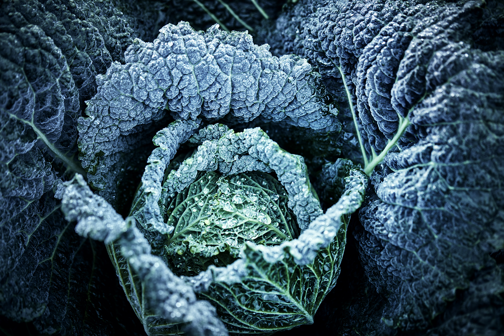 copyright Sylvan Müller - Naturaplan