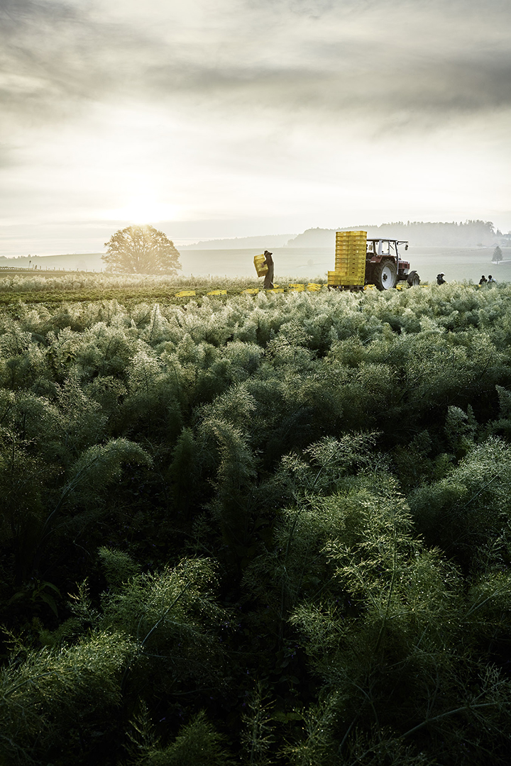 copyright Sylvan Müller - Naturaplan