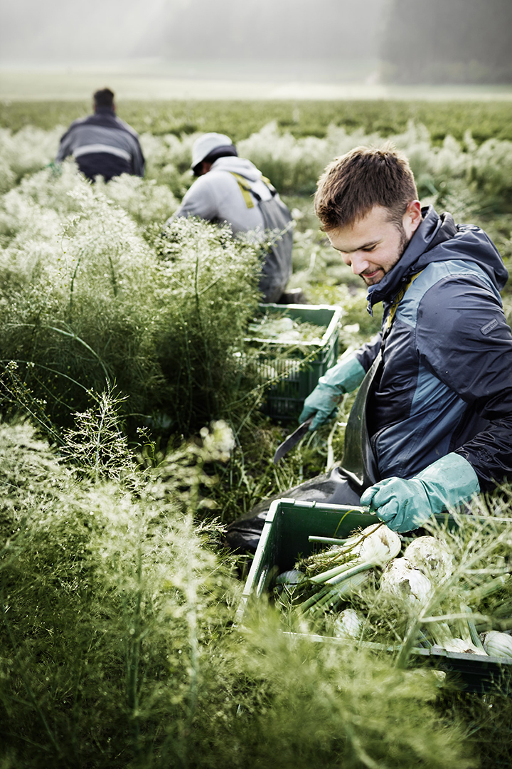 copyright Sylvan Müller - Naturaplan