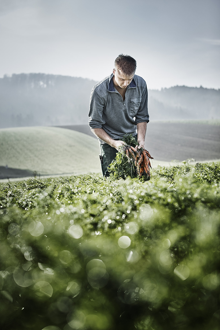 copyright Sylvan Müller - Naturaplan