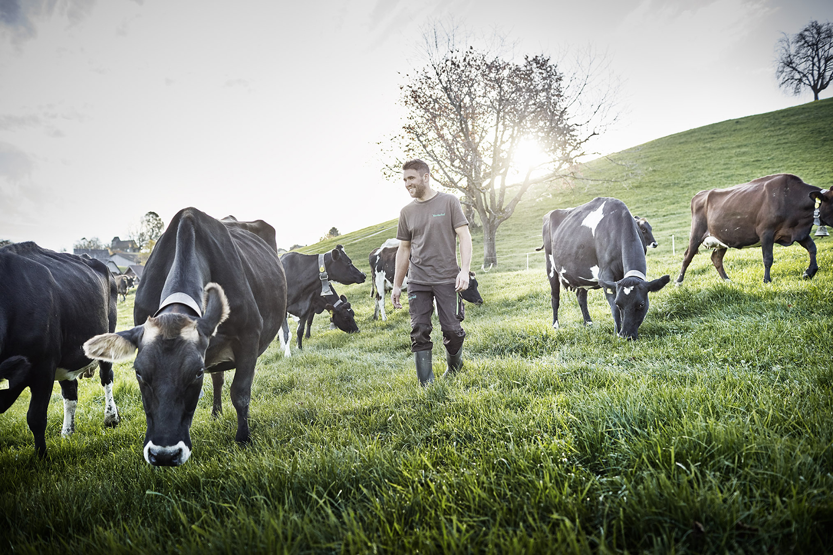 copyright Sylvan Müller - Naturaplan