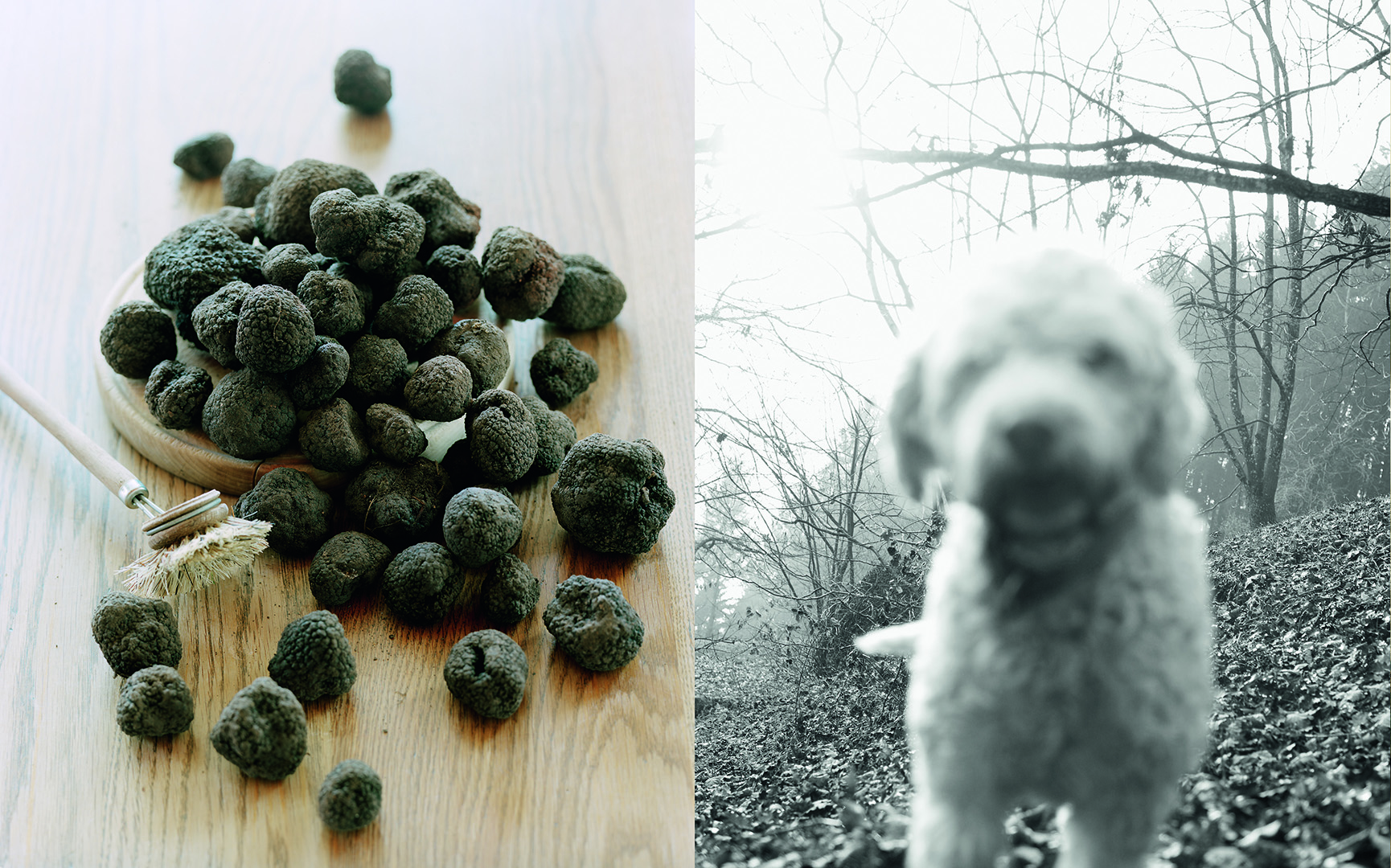 copyright Sylvan Müller - Werner Tobler