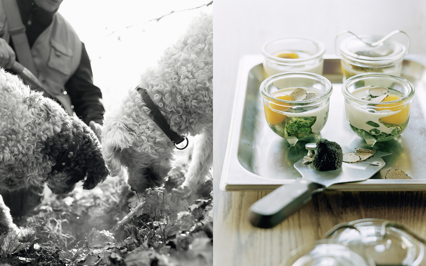 copyright Sylvan Müller - Werner Tobler