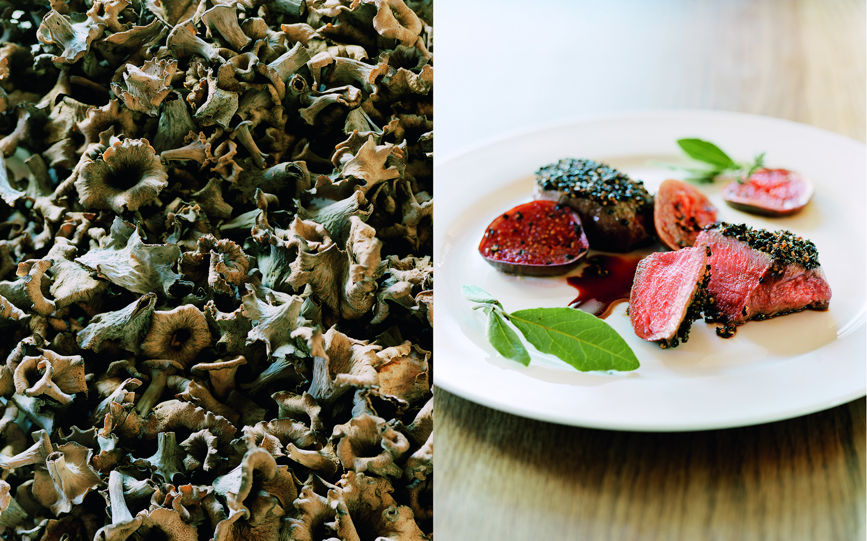 copyright Sylvan Müller - Werner Tobler