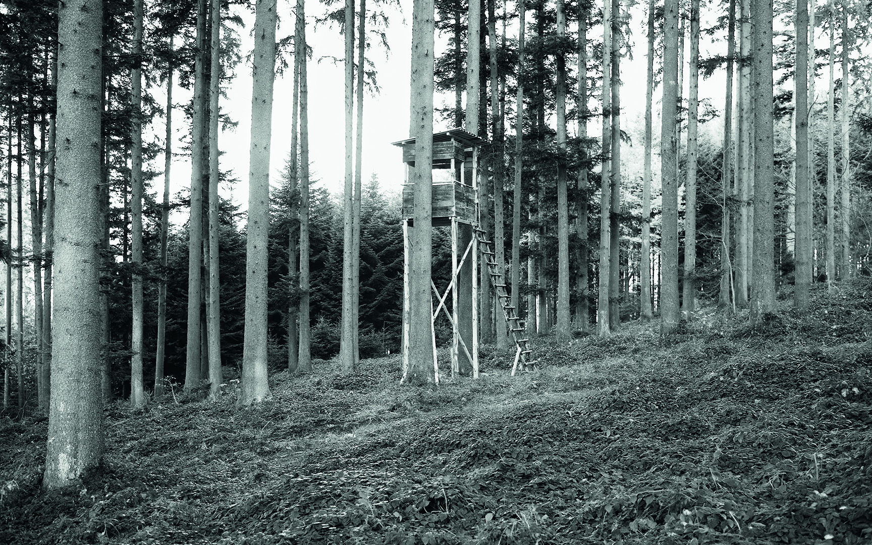 copyright Sylvan Müller - Werner Tobler