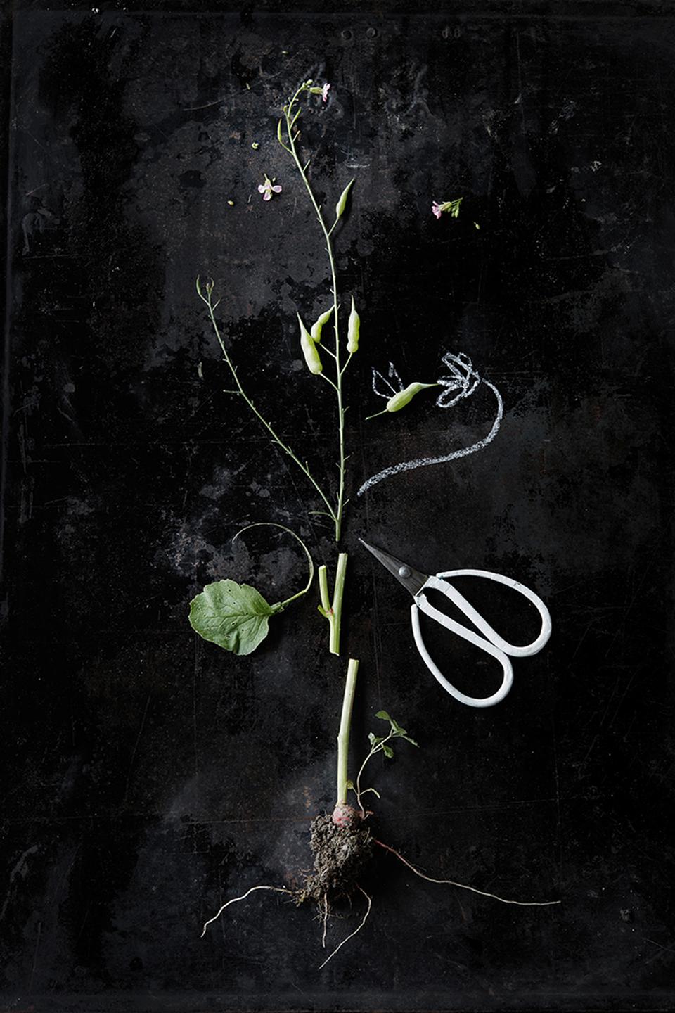 Copyright Sylvan Müller