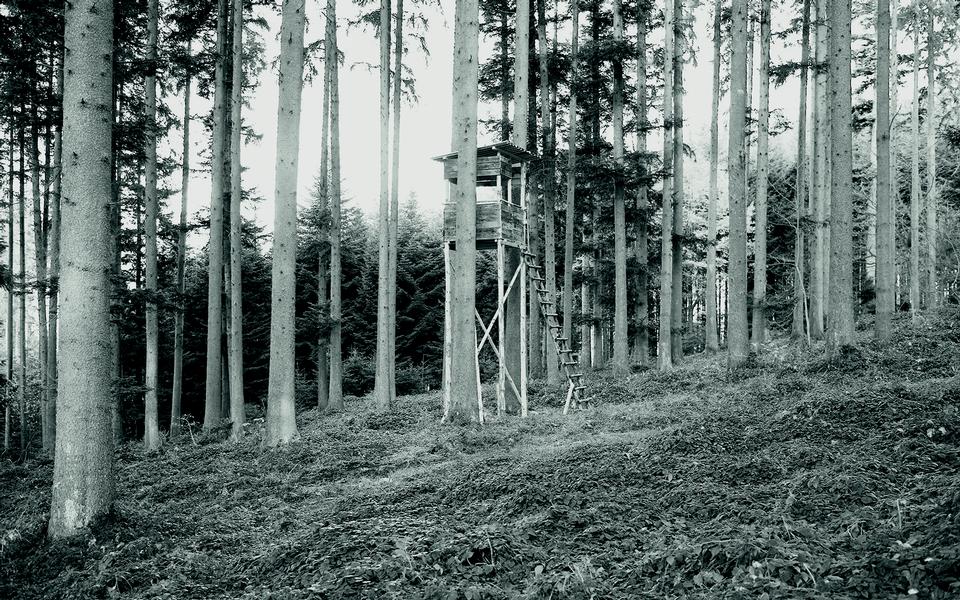 Copyright Sylvan Müller