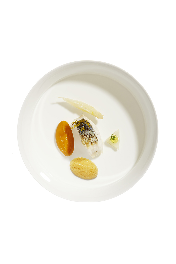 copyright Oriani & Origone - 