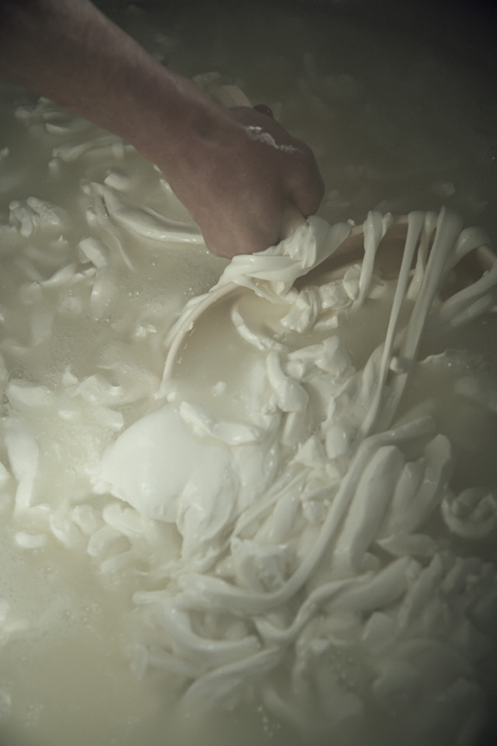 copyright Maurice Haas -