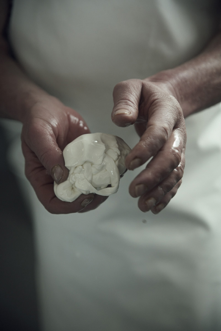 copyright Maurice Haas -