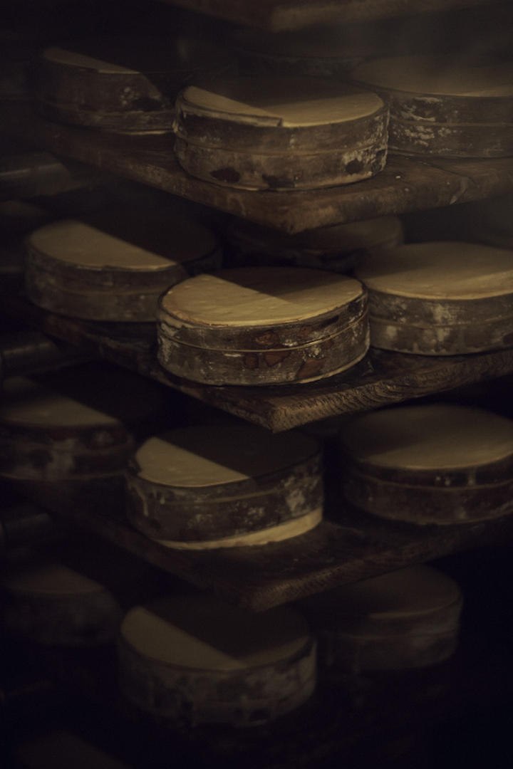 copyright Maurice Haas - Willi Schmid – Käser