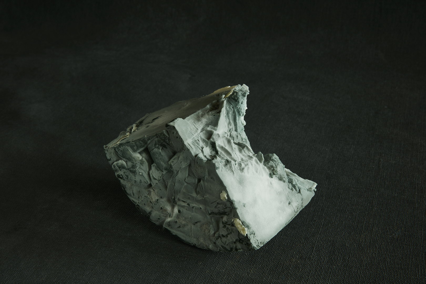 copyright Maurice Haas - Willi Schmid – Käser