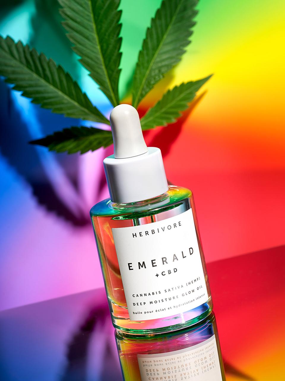 Copyright Stephanie Dinkel