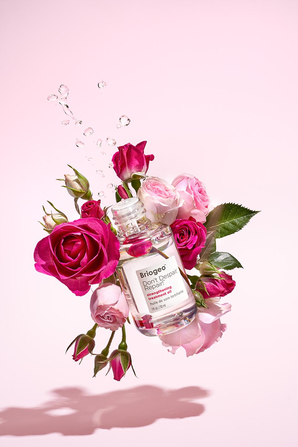 Copyright Stephanie Dinkel