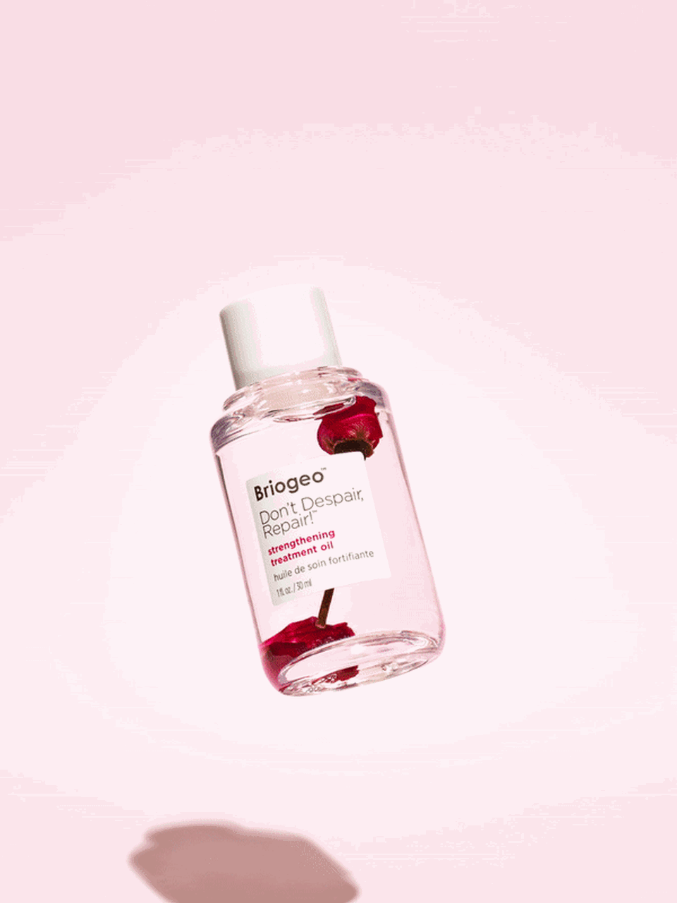 Copyright Stephanie Dinkel