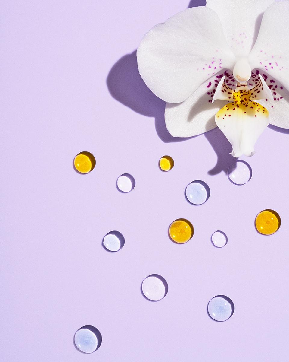 Copyright Stephanie Dinkel