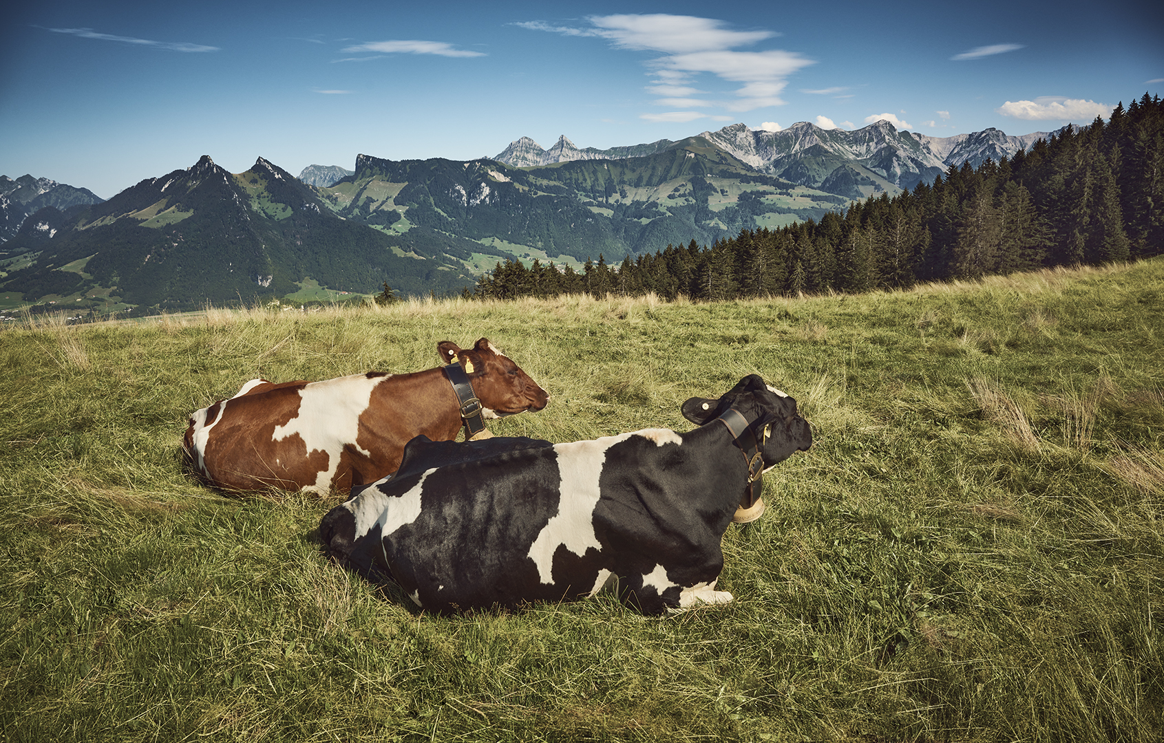 copyright Christian Grund - Gruyère AOP