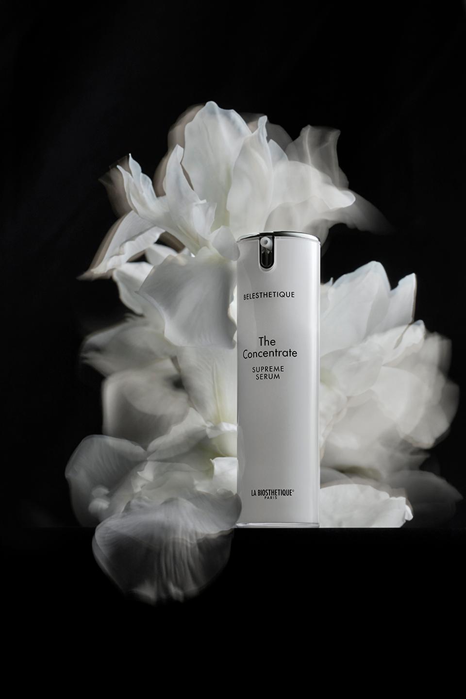 Copyright Stephanie Dinkel