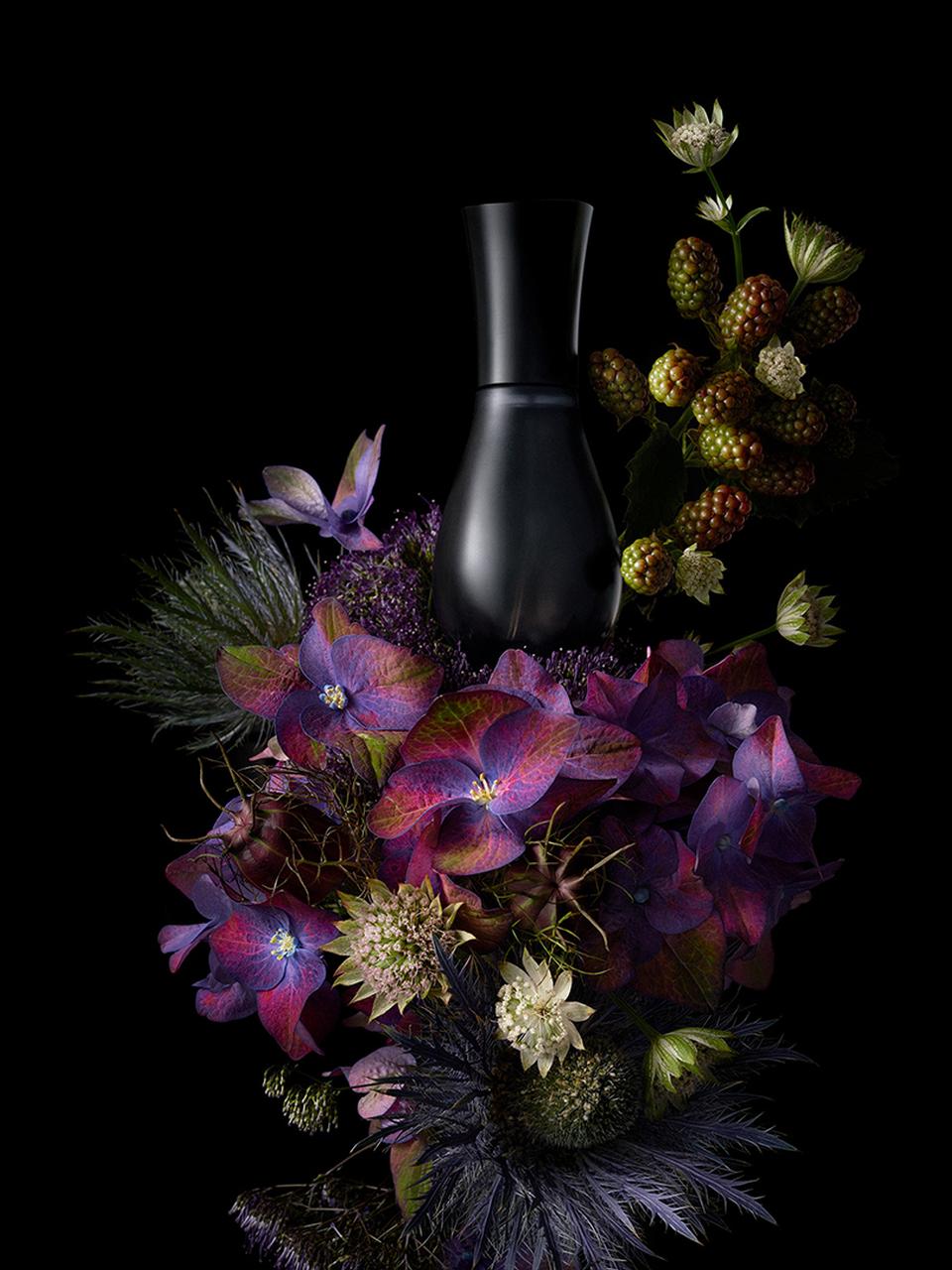 Copyright Stephanie Dinkel