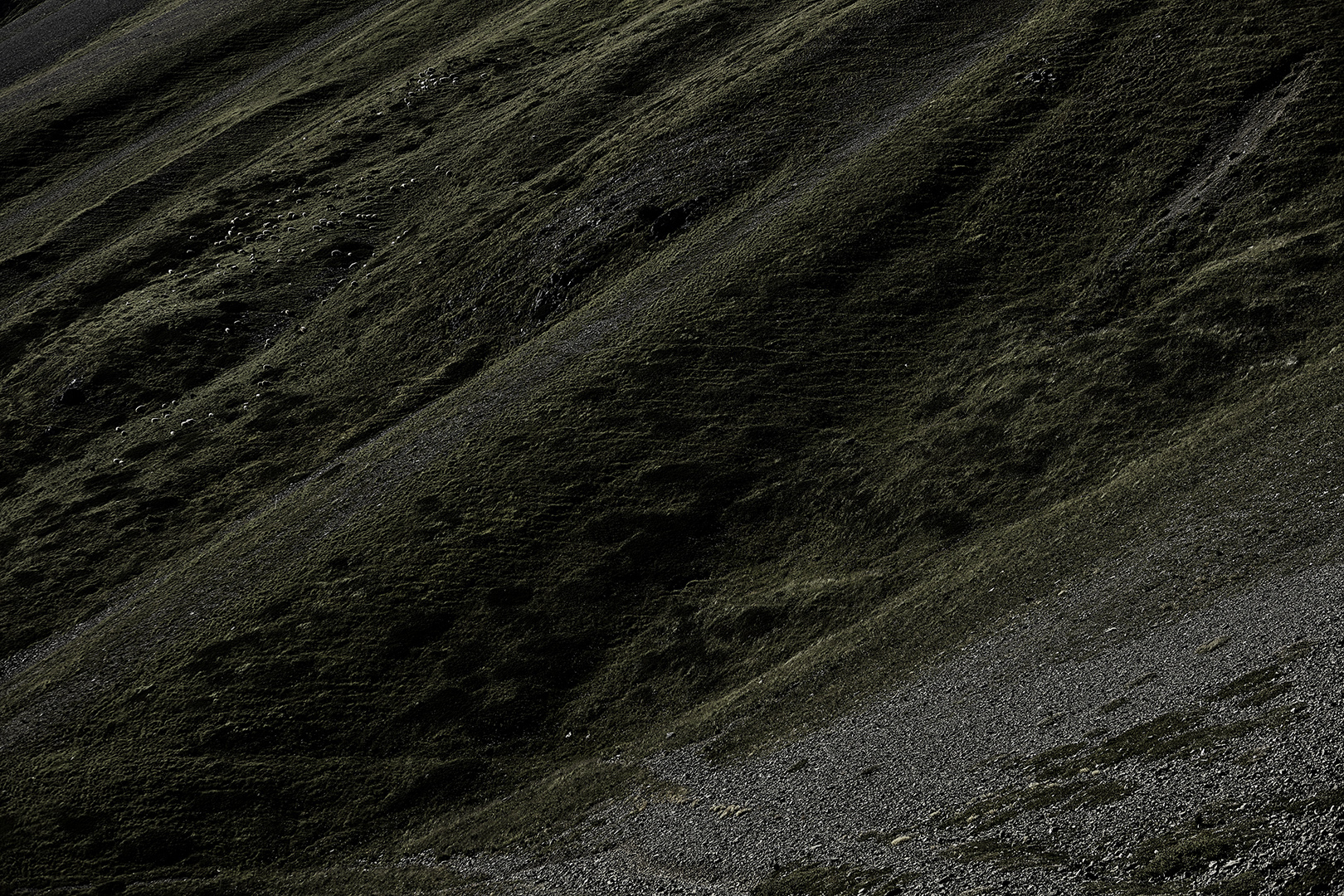 copyright Sylvan Müller - Albula