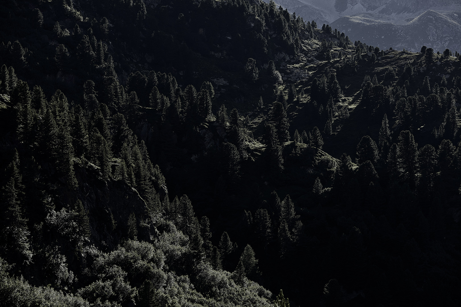 copyright Sylvan Müller - Albula