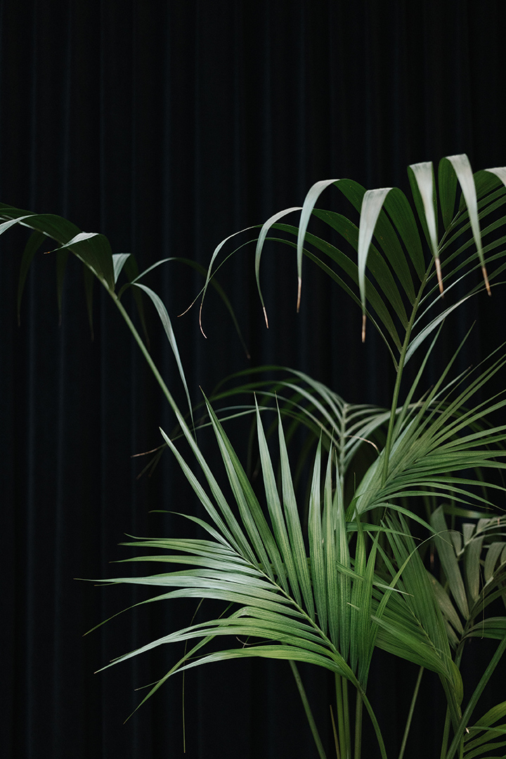 copyright Moritz Schermbach - Abteilung Kultur Basel-Stadt – JB 2021