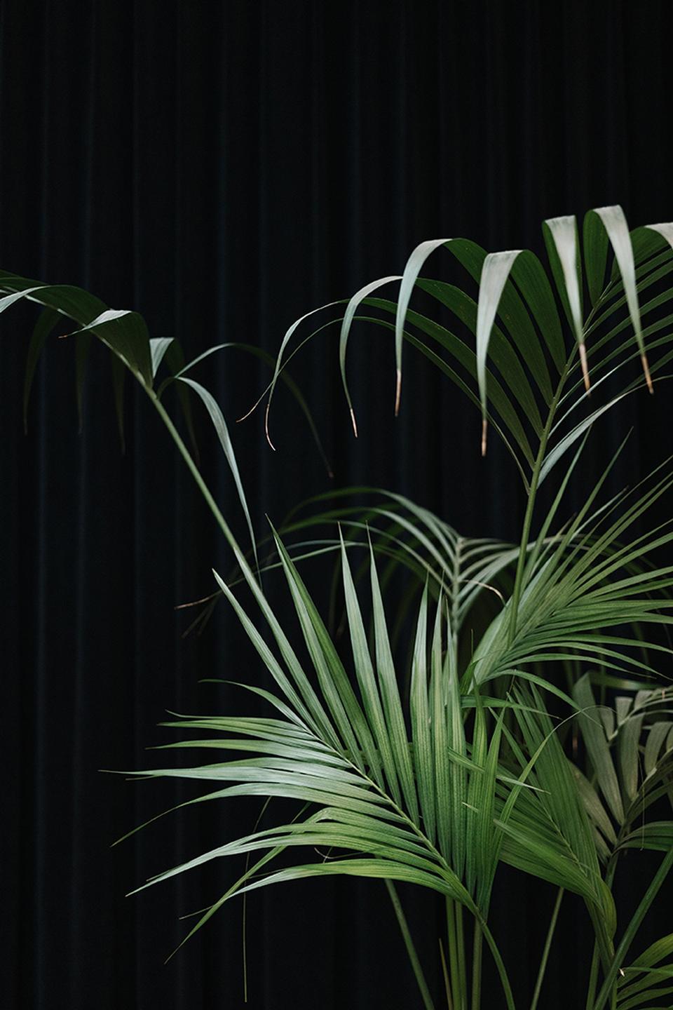 Copyright Moritz Schermbach