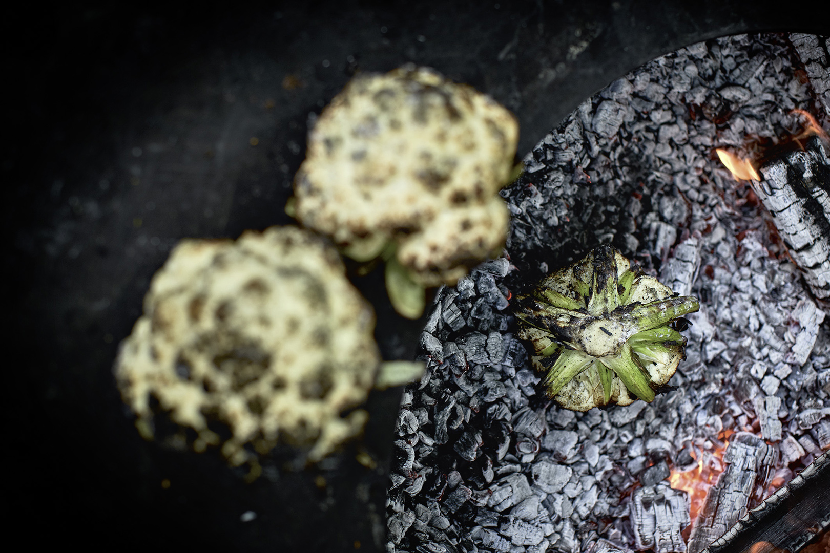 copyright Sylvan Müller - Feuerring – Vegetarisch