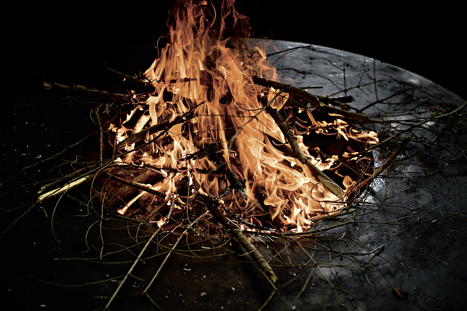 copyright Sylvan Müller - Feuerring – Vegetarisch