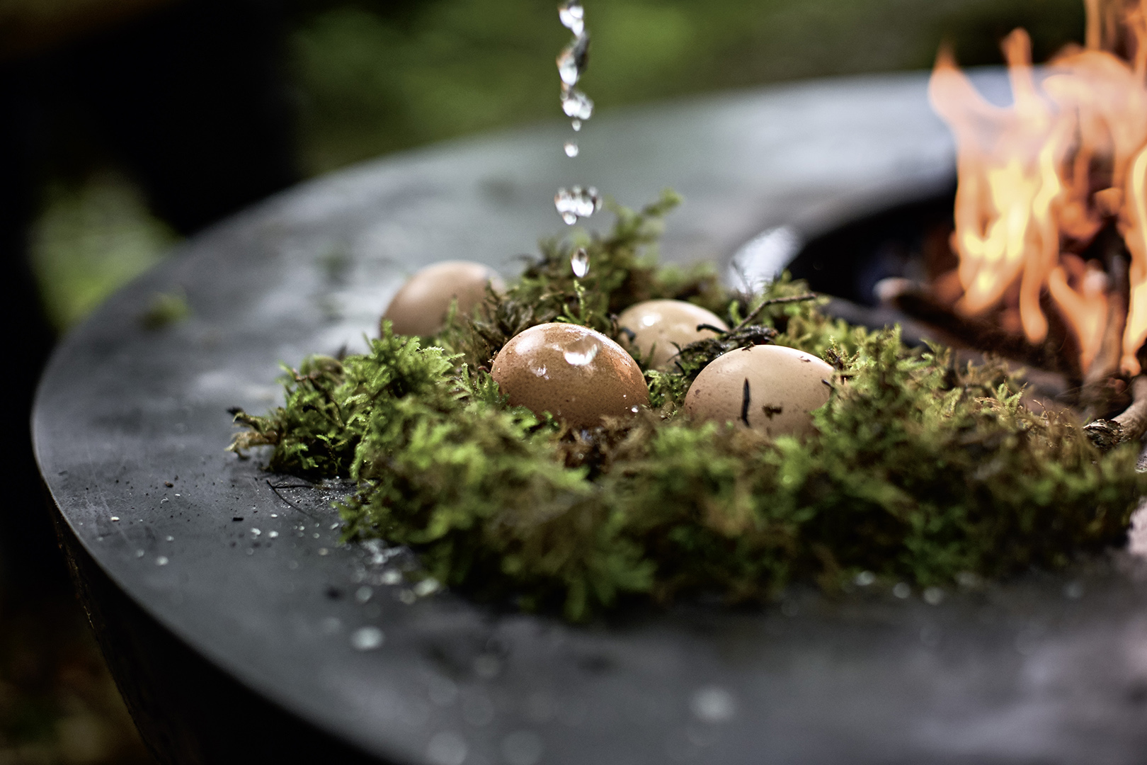 copyright Sylvan Müller - Feuerring – Vegetarisch