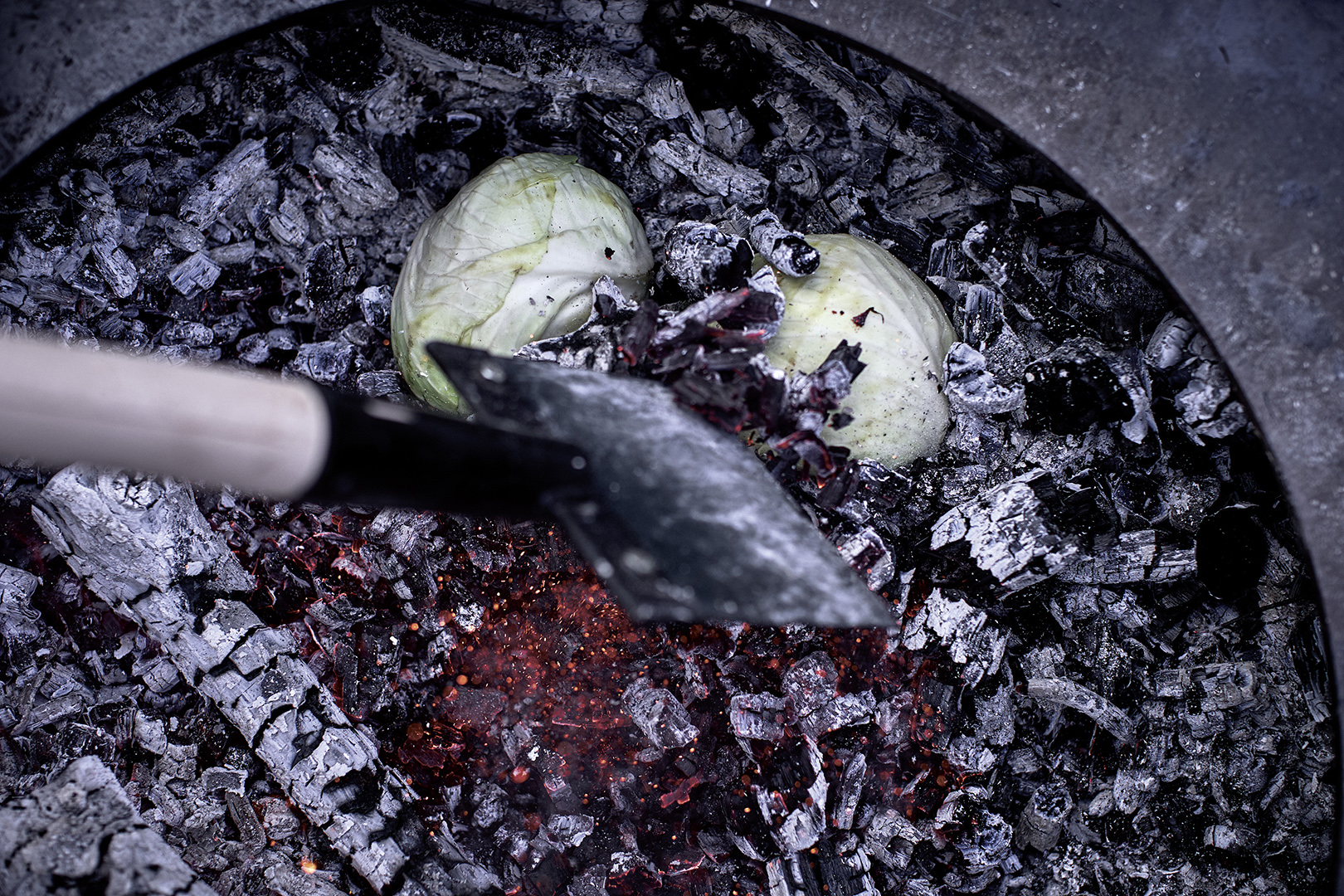 copyright Sylvan Müller - Feuerring – Vegetarisch