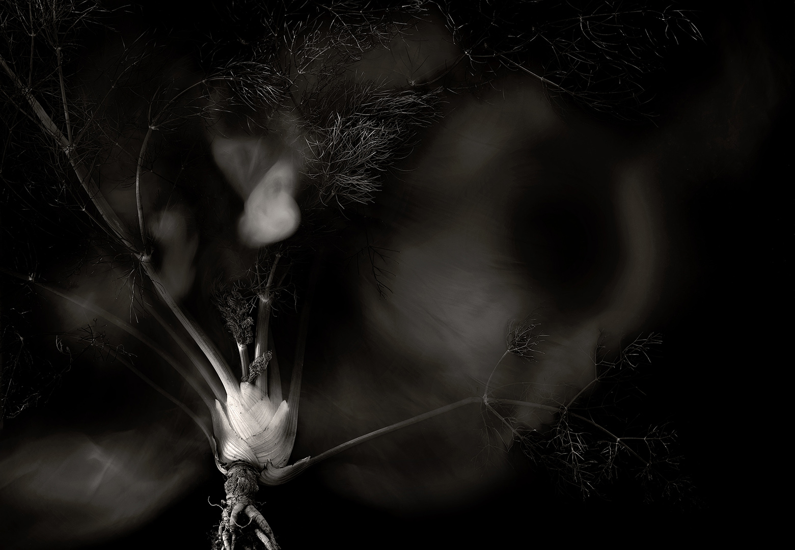 copyright Sylvan Müller - Feuerring – Gemüse