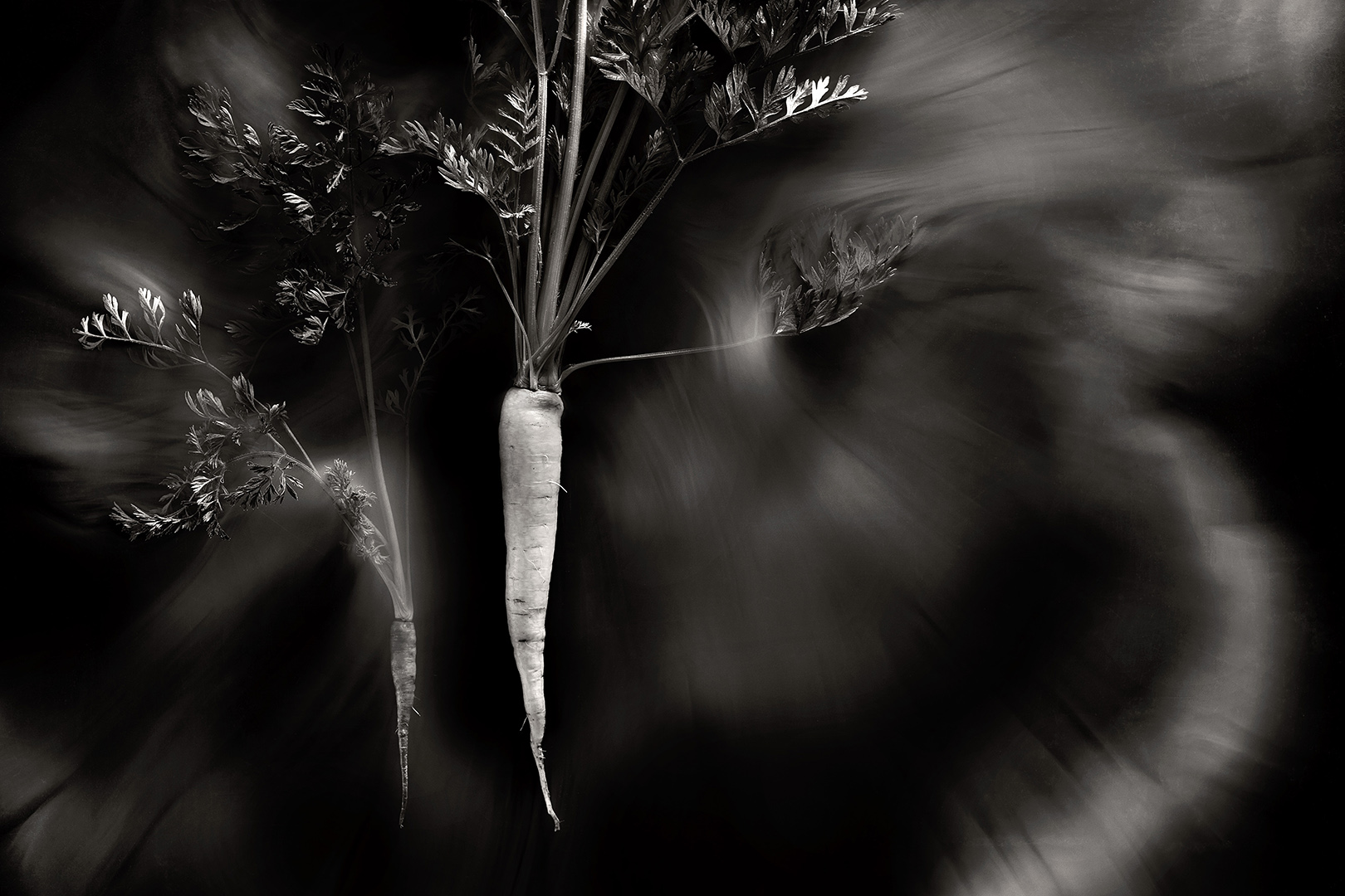 copyright Sylvan Müller - Feuerring – Gemüse