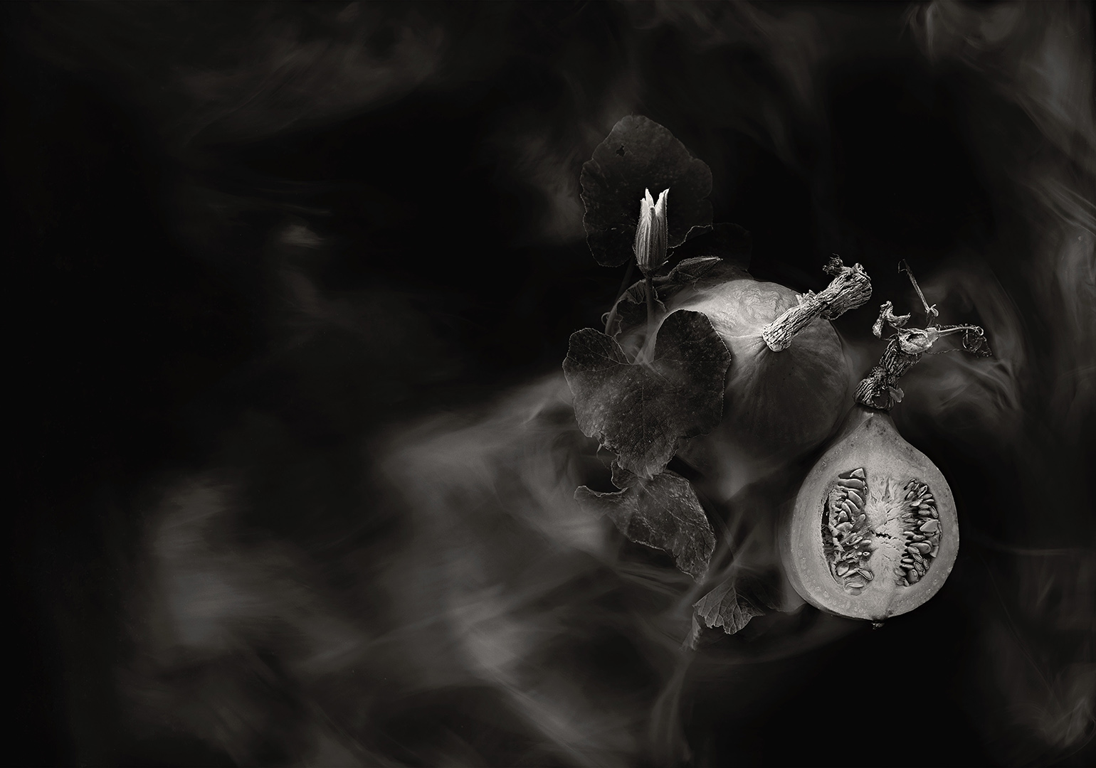 copyright Sylvan Müller - Feuerring – Gemüse