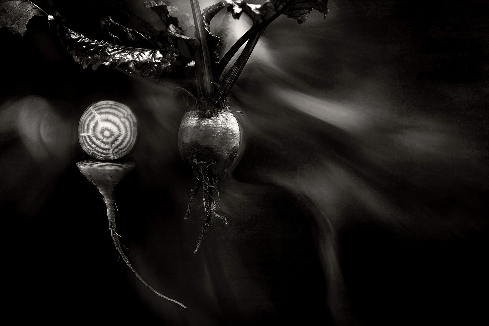 copyright Sylvan Müller - Feuerring – Gemüse